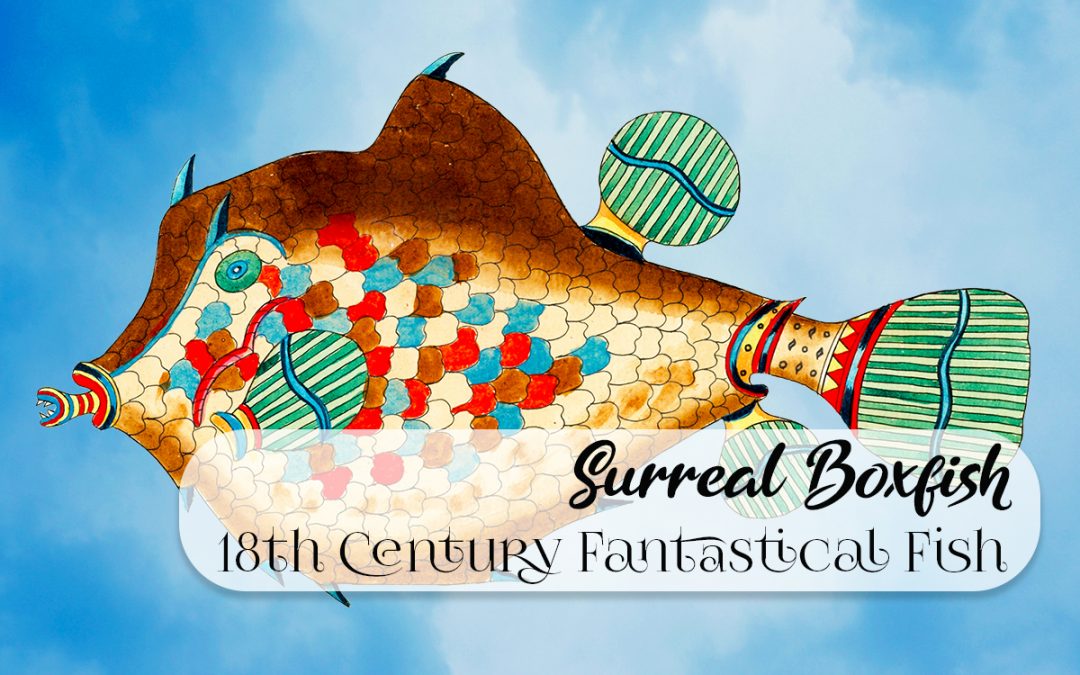 18th Century Fantastical Surreal Boxfish