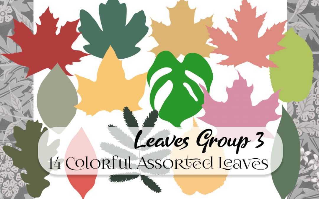 Falling Leaves – 43 Different Seasonal Leaves in Soft Colors – Fall, Autumn, Spring, Summer, Winter